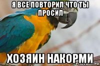 я все повторил что ты просил хозяин накорми