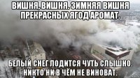 вишня, вишня. зимняя вишня прекрасных ягод аромат. белый снег лодится чуть слышно. никто ни в чём не виноват.