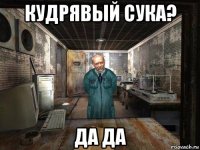 кудрявый сука? да да
