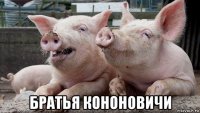  братья кононовичи