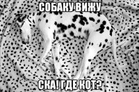 собаку вижу ска! где кот?