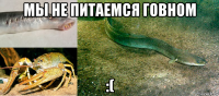 мы не питаемся говном :(