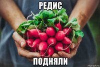 редис подняли