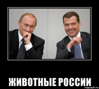  животные россии