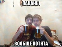 пацаны вообще котята
