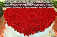 ты самая умная, нежная, милая! ты очень хорошая и очень красивая! ты ласковая, нежная и понимающая! ты сказочно манящая, но ты настоящая! ты неописуемая и неповторимая! ты незабываемая и неотразимая! ты стройная, стильная и симпатичная! ты соблазнительная и романтичная! ты всегда любимая и всегда хороша! ты самая лучшая в мире марта я тебе обожаю 