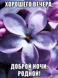 хорошего вечера, доброй ночи, родной!