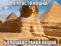 я просто кошка. большая сраная кошка.