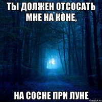 ты должен отсосать мне на коне, на сосне при луне