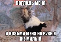 погладь меня и возьми меня на руки я же милый