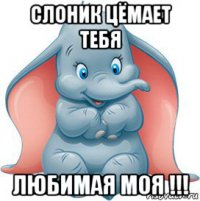 слоник цёмает тебя любимая моя !!!