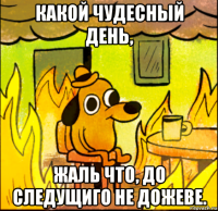 какой чудесный день, жаль что, до следущиго не дожеве.