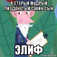 я старый мудрый пизданутый сукин сын элиф