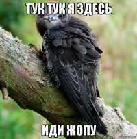 тук тук я здесь иди жопу