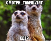 смотри...там шутят... хде?...