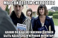 мы свидетели сиероговы каким по вашему мнению должен быть идеальный игровой монитор?