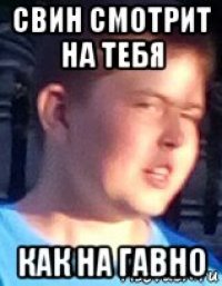 свин смотрит на тебя как на гавно