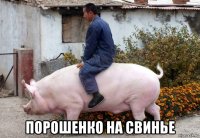  порошенко на свинье