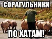сорагульники по хатам!