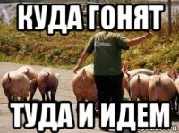 куда гонят туда и идем