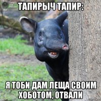 тапирыч тапир: я тоби дам леща своим хоботом, отвали