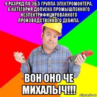 9 разряд по эб,5 группа электромонтёра, 6 категория допуска промышленного неэлектрифицированного производственного дебила. вон оно че михалыч!!!
