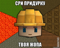 сри придурку твоя жопа