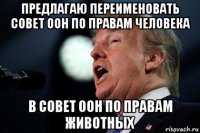 предлагаю переименовать совет оон по правам человека в совет оон по правам животных