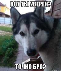 вот ты уверен? точно бро?