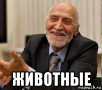 животные