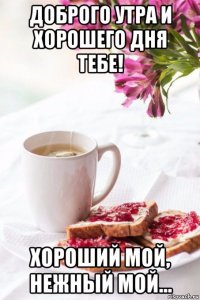 доброго утра и хорошего дня тебе! хороший мой, нежный мой...