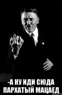  -а ну иди сюда пархатый мацаед