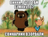 винни, а что там бумкнуло? свинарник взорвали