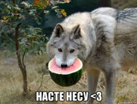  насте несу <3