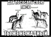 дай пососать свою писю ты же не жадный