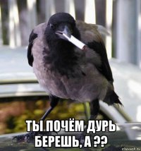  ты почём дурь берешь, а ??
