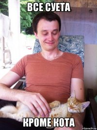 все суета кроме кота