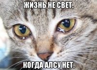 жизнь не свет, когда алсу нет.
