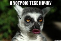 я устрою тебе ночку 