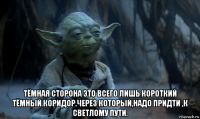  тёмная сторона это всего лишь короткий тёмный коридор.через который,надо придти ,к светлому пути.