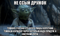 не ссый дружок тёмная сторона это всего лишь короткий тёмный коридор,через который,надо придти ,к светлому пути.