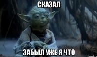 сказал забыл уже я что