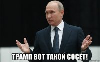  трамп вот такой сосёт!
