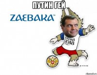 путин гей 