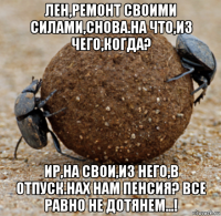 лен,ремонт своими силами,снова.на что,из чего,когда? ир,на свои,из него,в отпуск.нах нам пенсия? все равно не дотянем...!