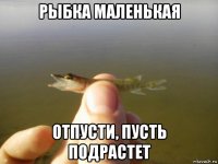 рыбка маленькая отпусти, пусть подрастет