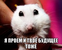  я проем и твоё будущее тоже