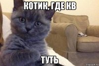 котик, где кв туть