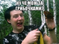 ну че мож за грибочками? 