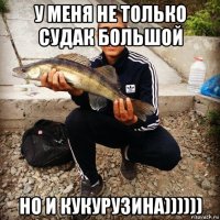 у меня не только судак большой но и кукурузина))))))